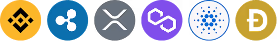 Raskenilo Corexの金融取引パートナーシップ認証バッジ